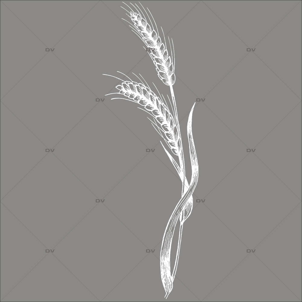 Sticker-géant-épis-de-blé-blancs-vitrophanie-décoration-vitrine-spécial-boulangerie-pâtisserie-électrostatique-sans-colle-repositionnable-réutilisable-DECO-VITRES Sticker-géant-épis-de-blé-blancs-vitrophanie-décoration-vitrine-spécial-boulangerie-pâtisserie-électrostatique-sans-colle-repositionnable-réutilisable-DECO-VITRES