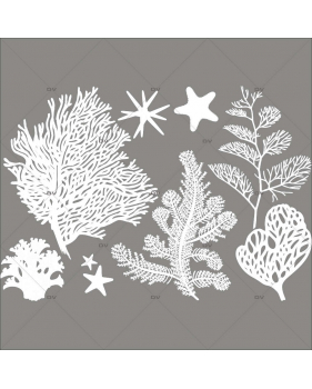 Sticker-coraux-mer-vacances-été-vitrophanie-décoration-vitrine-estivale-électrostatique-sans-colle-repositionnable-réutilisable-DECO-VITRES