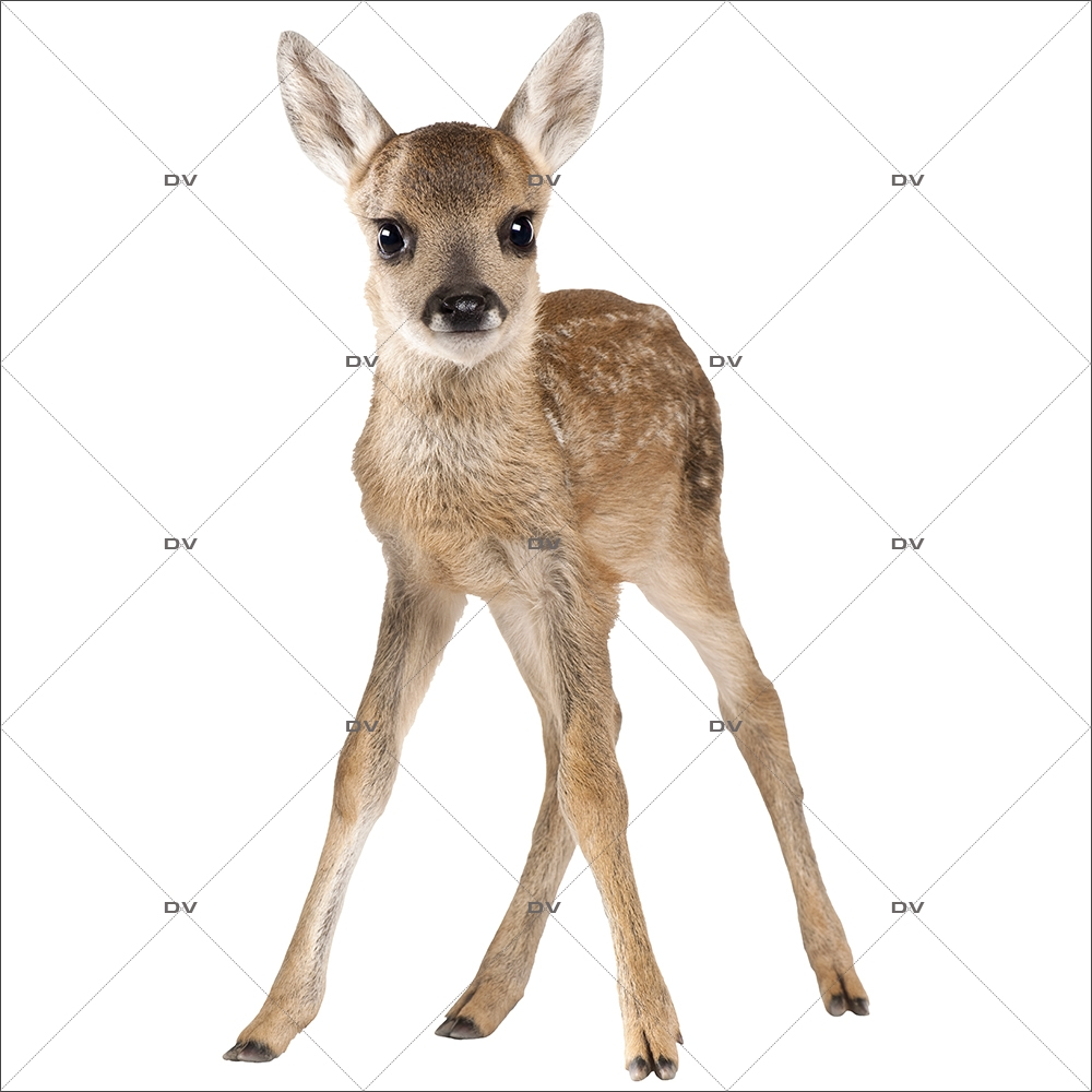 Sticker-faon-animaux-forêt-vitrophanie-décoration-vitrine-noël-hiver-automne-électrostatique-sans-colle-repositionnable-réutilisable-DECO-VITRES Sticker-faon-animaux-forêt-vitrophanie-décoration-vitrine-noël-hiver-automne-électrostatique-sans-colle-repositionnable-réutilisable-DECO-VITRES