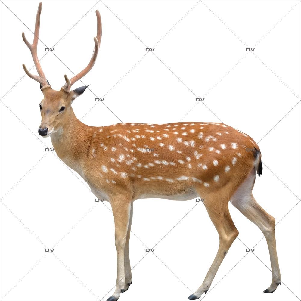Sticker-cerf-animaux-forêt-vitrophanie-décoration-vitrine-noël-hiver-automne-électrostatique-sans-colle-repositionnable-réutilisable-DECO-VITRES
