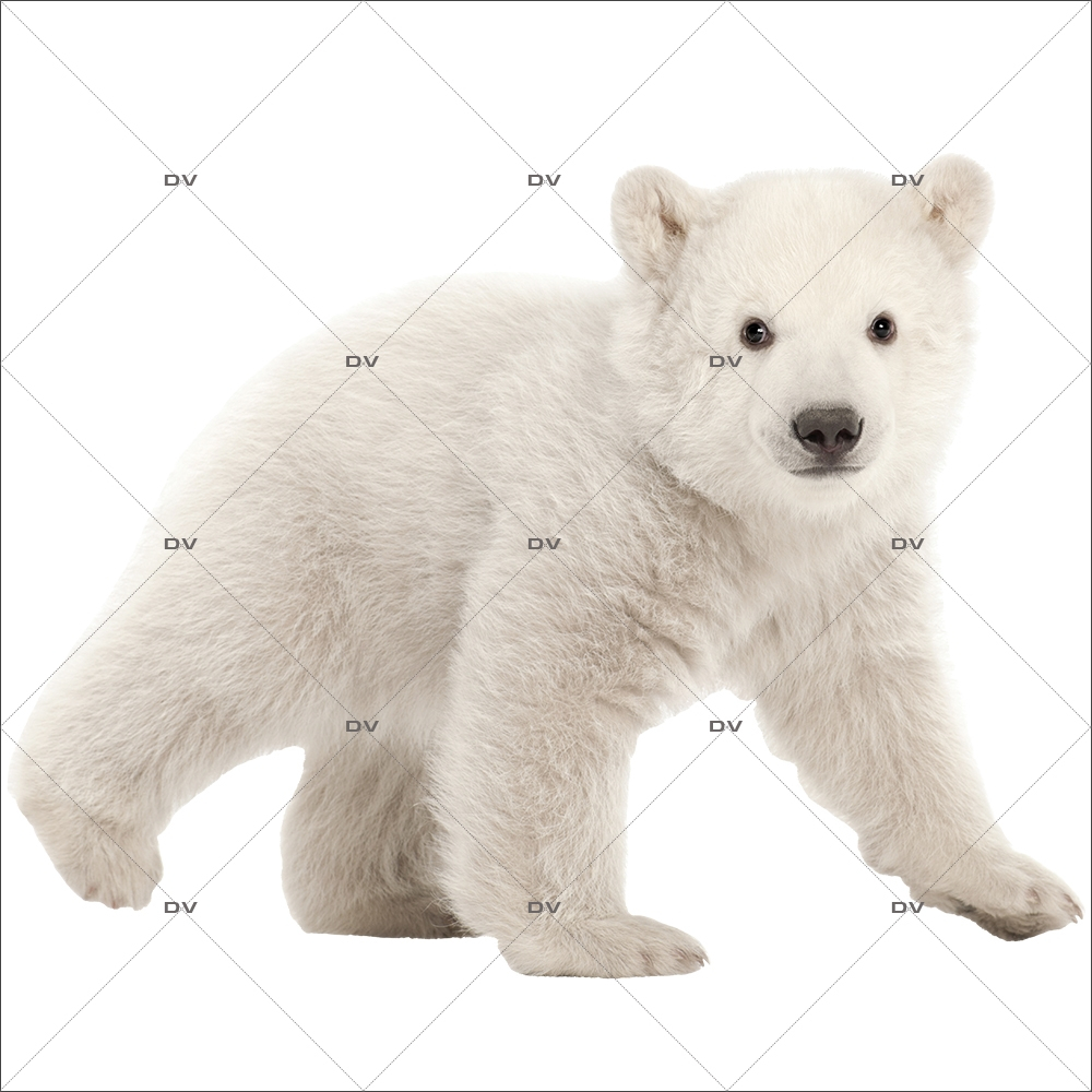 Sticker-ourson-polaire-animaux-vitrophanie-décoration-vitrine-noël-hiver-électrostatique-sans-colle-repositionnable-réutilisable-DECO-VITRES Sticker-ourson-polaire-animaux-vitrophanie-décoration-vitrine-noël-hiver-électrostatique-sans-colle-repositionnable-réutilisable-DECO-VITRES