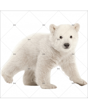 Sticker-ourson-polaire-animaux-vitrophanie-décoration-vitrine-noël-hiver-électrostatique-sans-colle-repositionnable-réutilisable-DECO-VITRES