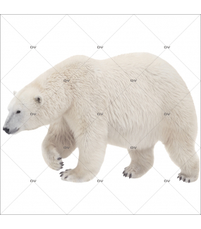 Sticker-ours-polaire-animaux-vitrophanie-décoration-vitrine-noël-hiver-électrostatique-sans-colle-repositionnable-réutilisable-DECO-VITRES
