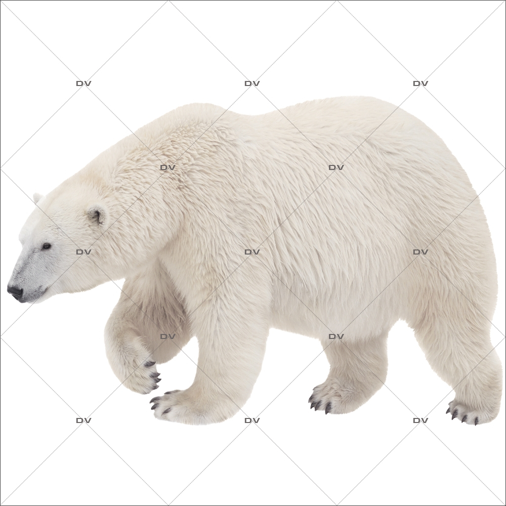 Sticker-ours-polaire-animaux-vitrophanie-décoration-vitrine-noël-hiver-électrostatique-sans-colle-repositionnable-réutilisable-DECO-VITRES Sticker-ours-polaire-animaux-vitrophanie-décoration-vitrine-noël-hiver-électrostatique-sans-colle-repositionnable-réutilisable-DECO-VITRES