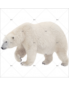 Sticker-ours-polaire-animaux-vitrophanie-décoration-vitrine-noël-hiver-électrostatique-sans-colle-repositionnable-réutilisable-DECO-VITRES