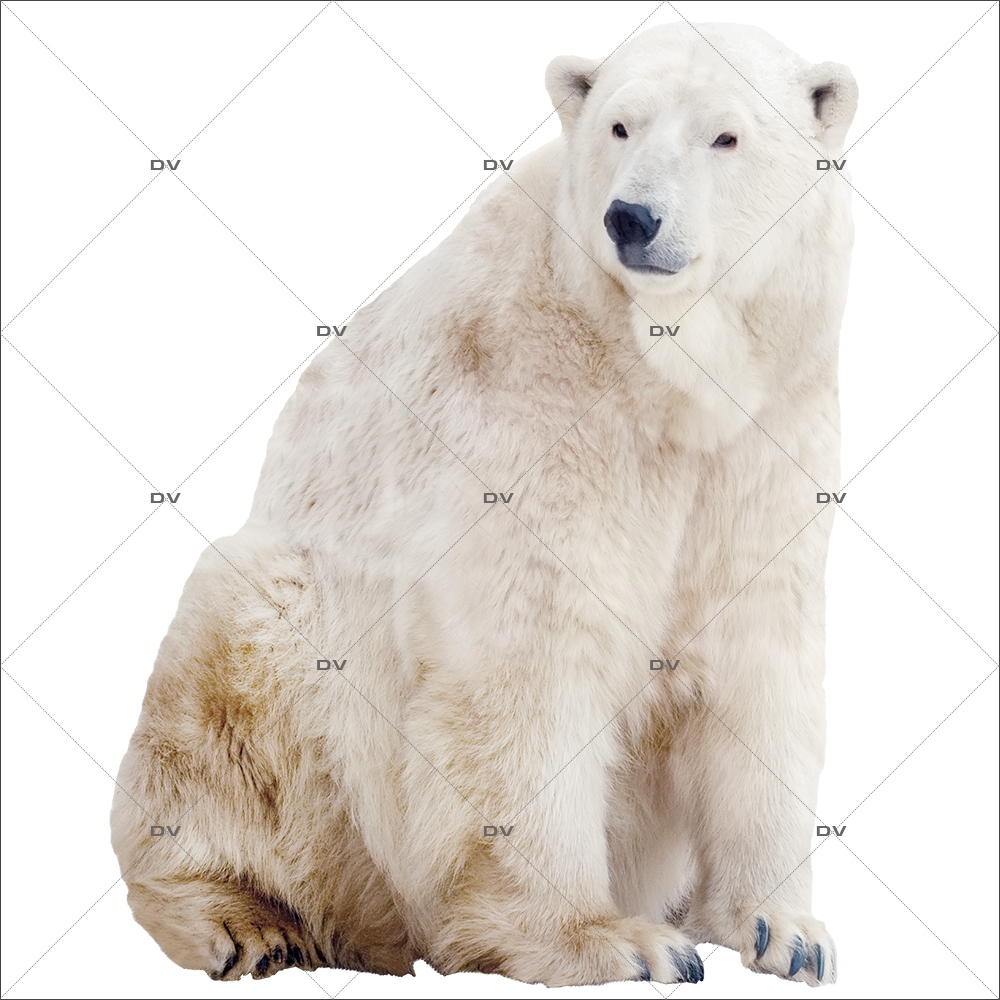 Sticker-ours-polaire-animaux-vitrophanie-décoration-vitrine-noël-hiver-électrostatique-sans-colle-repositionnable-réutilisable-DECO-VITRES