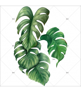 Sticker-philodendron-plante-exotique-tropical-adhésif-encres-écologiques-latex-décoration-intérieure-DECO-VITRES