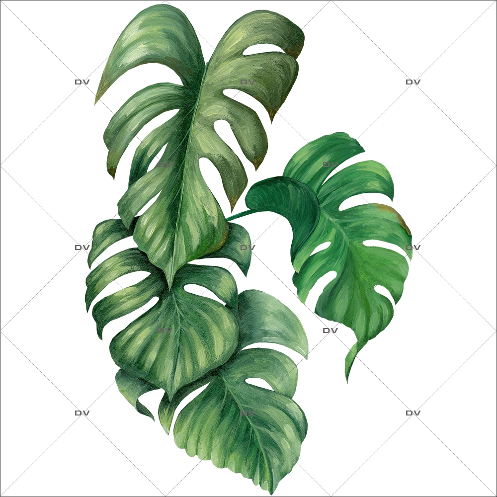 Sticker-philodendron-plante-exotique-tropical-adhésif-encres-écologiques-latex-décoration-intérieure-DECO-VITRES
