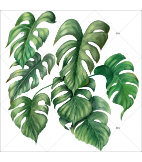 Sticker-philodendron-plante-exotique-tropical-adhésif-encres-écologiques-latex-décoration-intérieure-DECO-VITRES