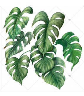 Stickers plante Monstera – Déco Exotique