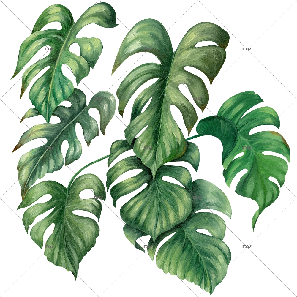 Sticker-philodendron-plante-exotique-tropical-adhésif-encres-écologiques-latex-décoration-intérieure-DECO-VITRES