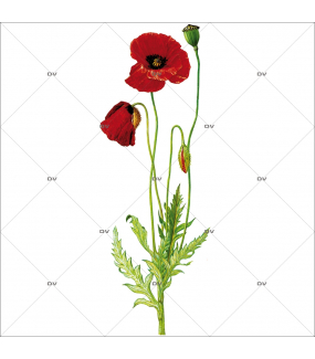 Sticker-coquelicots-fleurs-été-provence-adhésif-encres-écologiques-latex-décoration-intérieure-DECO-VITRES