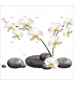 Sticker-orchidées-blanches-galets-asiatique-ambiance-zen-adhésif-encres-écologiques-latex-décoration-intérieure-DECO-VITRES