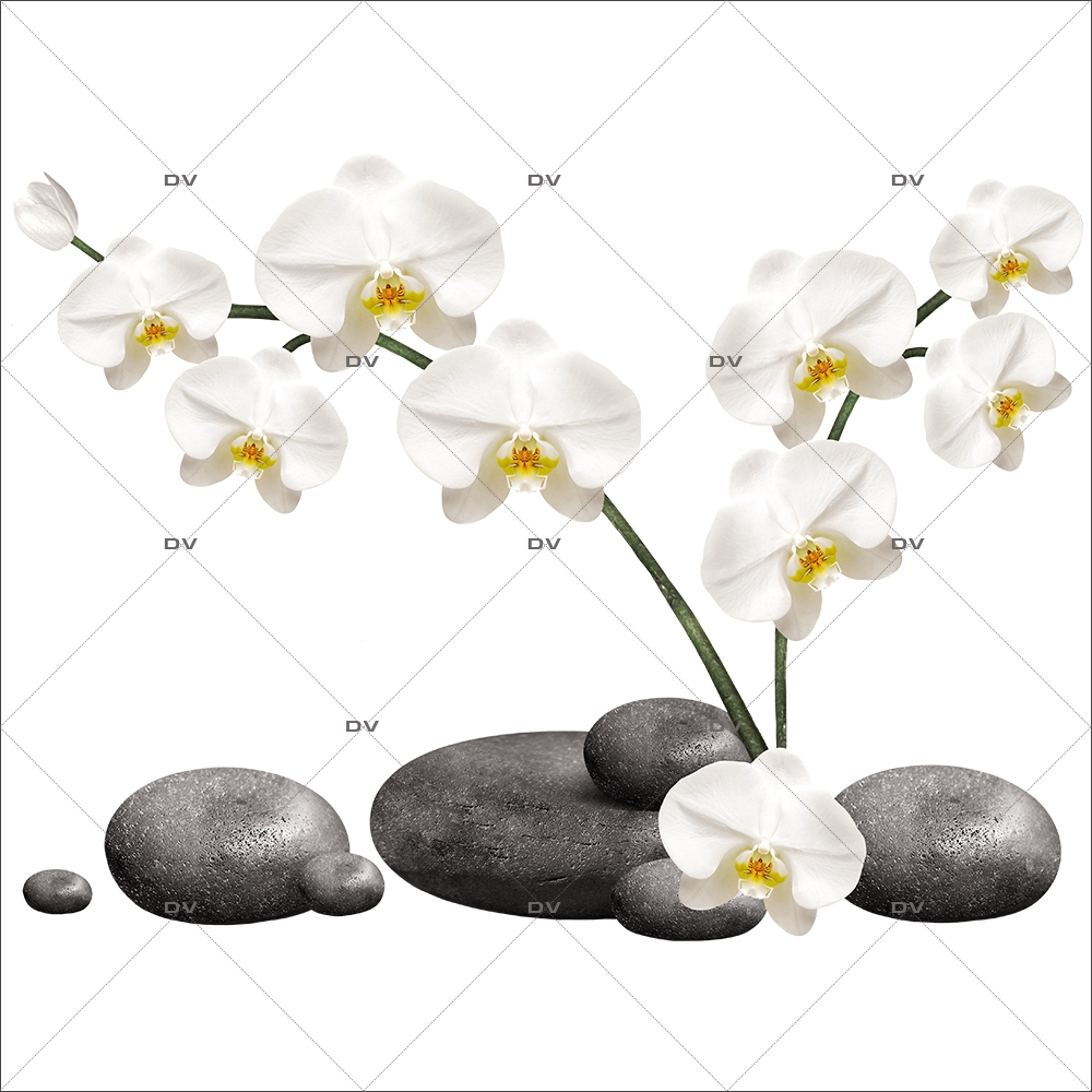 Sticker-orchidées-blanches-galets-asiatique-ambiance-zen-adhésif-encres-écologiques-latex-décoration-intérieure-DECO-VITRES