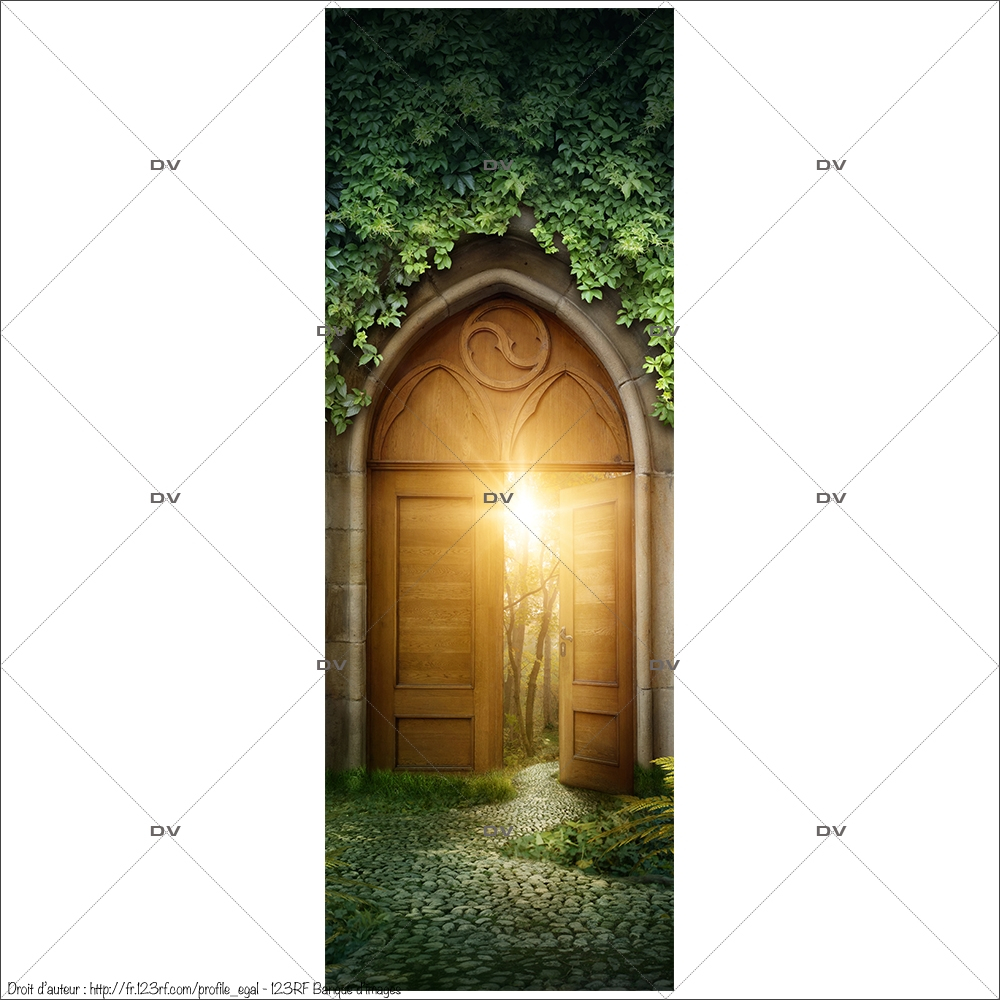 Sticker-porte-mystère-forêt-enchantée-chambre-enfant-adhésif-encres-écologiques-latex-décoration-intérieure-DECO-VITRES Sticker-porte-mystère-forêt-enchantée-chambre-enfant-adhésif-encres-écologiques-latex-décoration-intérieure-DECO-VITRES