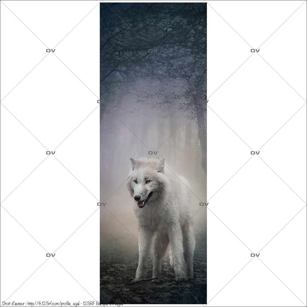 Sticker-porte-loup-forêt-enchantée-chambre-enfant-adolescent-adhésif-encres-écologiques-latex-décoration-intérieure-DECO-VITRES Sticker-porte-loup-forêt-enchantée-chambre-enfant-adolescent-adhésif-encres-écologiques-latex-décoration-intérieure-DECO-VITRES