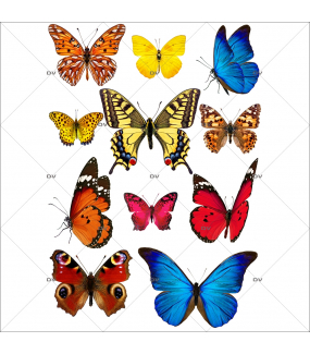 Sticker-papillons-multicolores-insectes-printemps-animaux-été-vitrophanie-décoration-vitrine-printanière-estivale-électrostatique-sans-colle-repositionnable-réutilisable-DECO-VITRES