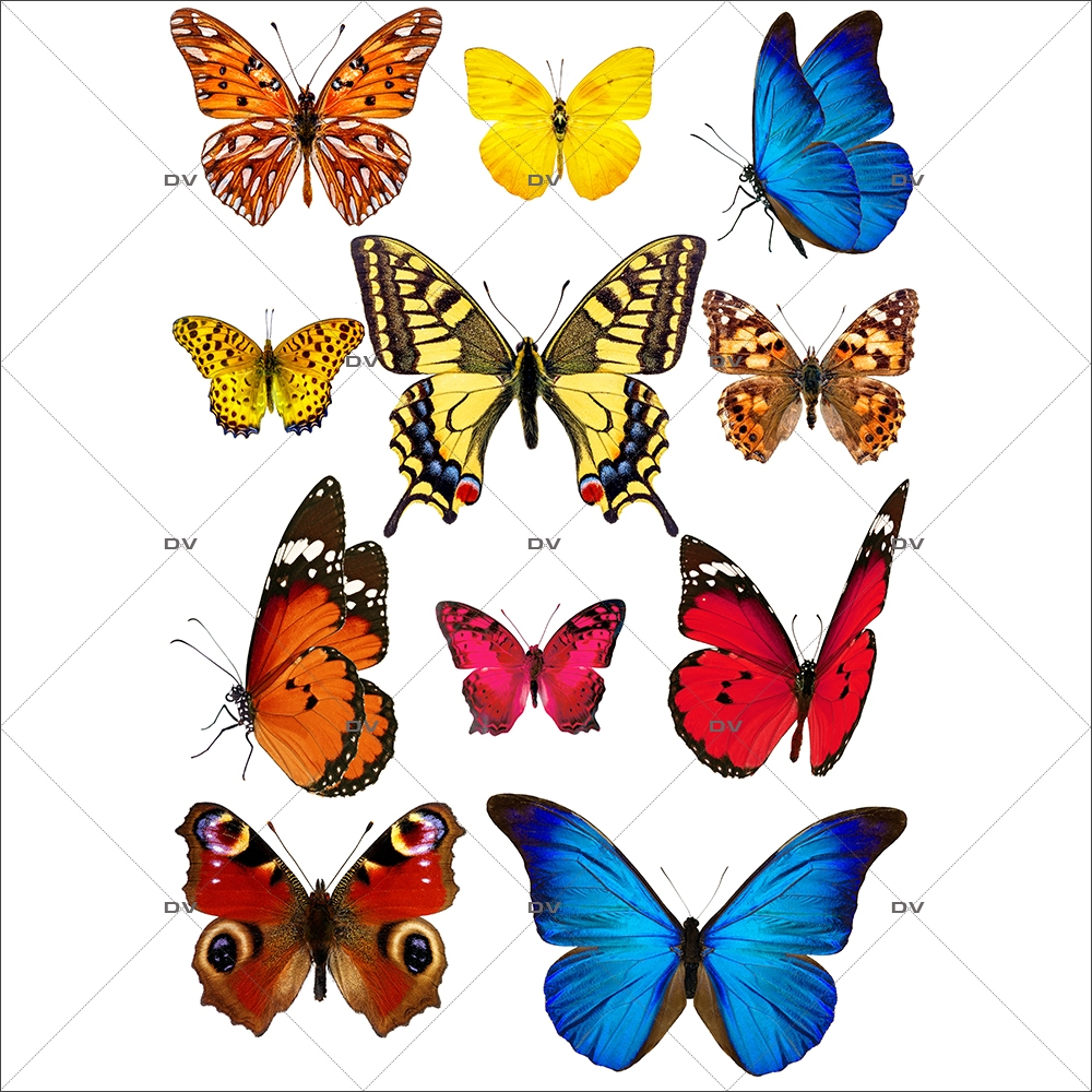 Sticker-papillons-multicolores-insectes-printemps-animaux-été-vitrophanie-décoration-vitrine-printanière-estivale-électrostatique-sans-colle-repositionnable-réutilisable-DECO-VITRES