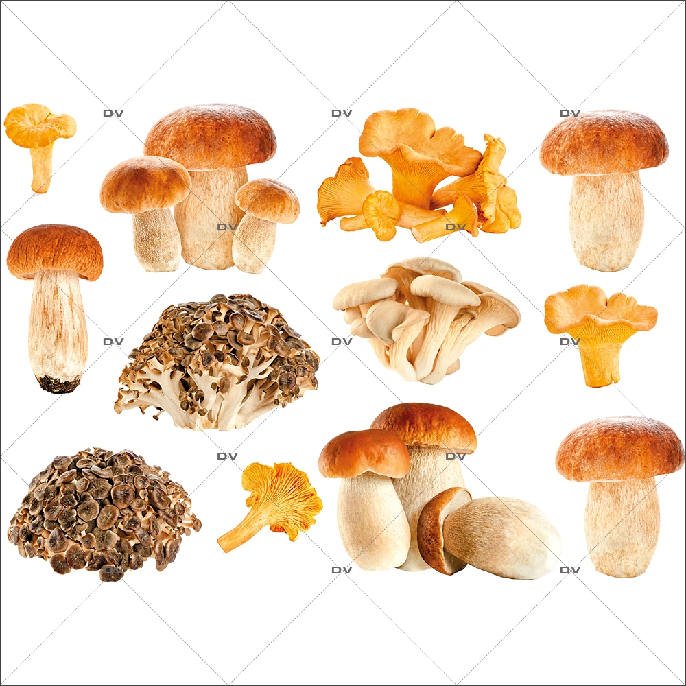 Sticker-champignons-automne-cèpes-girolles-vitrophanie-décoration-vitrine-automnale-électrostatique-sans-colle-repositionnable-réutilisable-DECO-VITRES