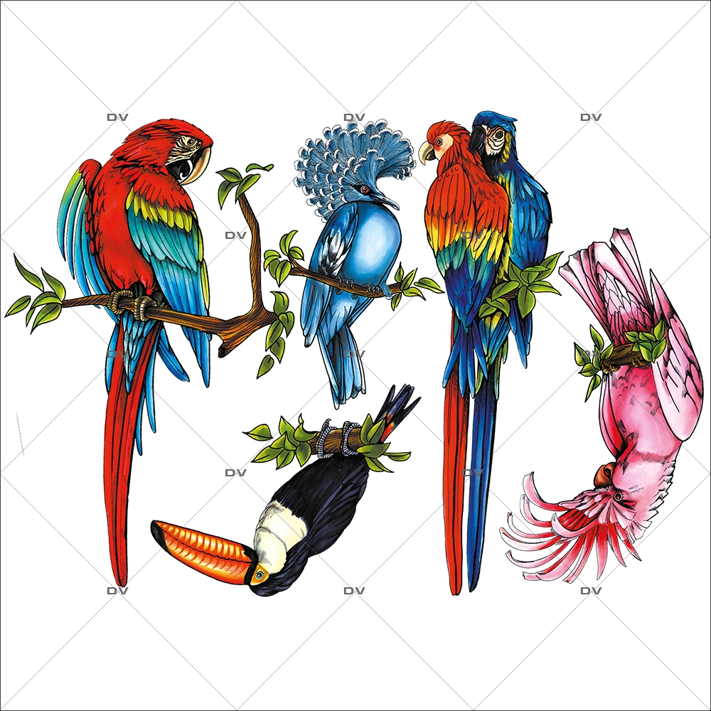 Sticker-5-oiseaux-exotiques-aras-perroquets-toucan-pigeon-été-animaux-vitrophanie-décoration-vitrine-estivale-électrostatique-sans-colle-repositionnable-réutilisable-DECO-VITRES