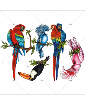 Sticker-5-oiseaux-exotiques-aras-perroquets-toucan-pigeon-été-animaux-vitrophanie-décoration-vitrine-estivale-électrostatique-sans-colle-repositionnable-réutilisable-DECO-VITRES