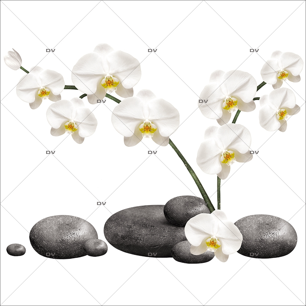 Sticker-orchidées-et-galets-fleurs-exotiques-tropicales-zen-asie-thaïlande-vitrophanie-décoration-vitrine-estivale-spa-institut-de-beauté-électrostatique-sans-colle-repositionnable-réutilisable-DECO-VITRES Sticker-orchidées-et-galets-fleurs-exotiques-tropicales-zen-asie-thaïlande-vitrophanie-décoration-vitrine-estivale-spa-institut-de-beauté-électrostatique-sans-colle-repositionnable-réutilisable-DECO-VITRES