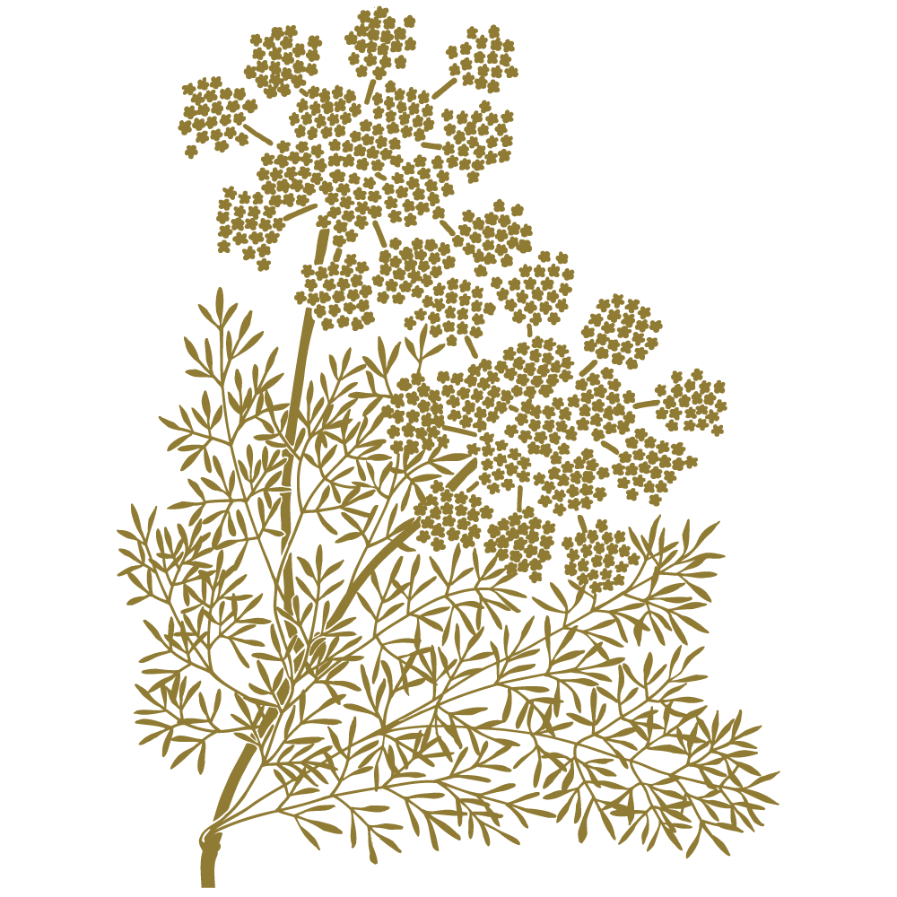 Sticker-fleurs-japonaises-ambiance-décoration-retro-asie-zen-adhésif-teinté-dans-la-masse-26-couleurs-au-choix-découpé-mural-ou-vitres-décoration-intérieure-DECO-VITRES Sticker-fleurs-japonaises-ambiance-décoration-retro-asie-zen-adhésif-teinté-dans-la-masse-26-couleurs-au-choix-découpé-mural-ou-vitres-décoration-intérieure-DECO-VITRES