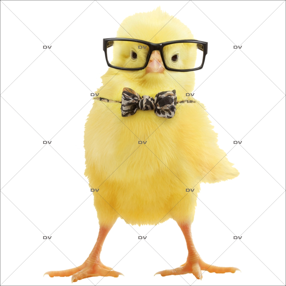 Sticker-poussin-lunettes-noeud-papillon-animaux-printemps-vitrophanie-décoration-vitrine-pâques-printanière-chic-opticien-électrostatique-sans-colle-repositionnable-réutilisable-DECO-VITRES Sticker-poussin-lunettes-noeud-papillon-animaux-printemps-vitrophanie-décoration-vitrine-pâques-printanière-chic-opticien-électrostatique-sans-colle-repositionnable-réutilisable-DECO-VITRES