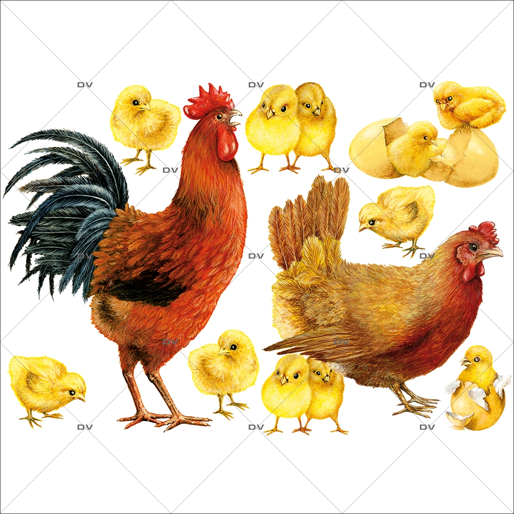 Sticker-coq-poule-et-poussins-basse-cour-animaux-volailles-vitrophanie-décoration-vitrine-pâques-printanière-électrostatique-sans-colle-repositionnable-réutilisable-DECO-VITRES Sticker-coq-poule-et-poussins-basse-cour-animaux-volailles-vitrophanie-décoration-vitrine-pâques-printanière-électrostatique-sans-colle-repositionnable-réutilisable-DECO-VITRES