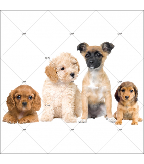 Sticker-frise-de-chiots-toilettage-chien-vitrophanie-décoration-vitrine-toiletteur-électrostatique-sans-colle-repositionnable-réutilisable-DECO-VITRES