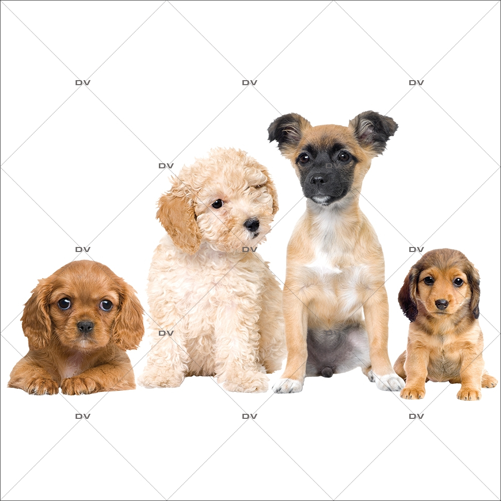 Sticker-frise-de-chiots-toilettage-chien-vitrophanie-décoration-vitrine-toiletteur-électrostatique-sans-colle-repositionnable-réutilisable-DECO-VITRES