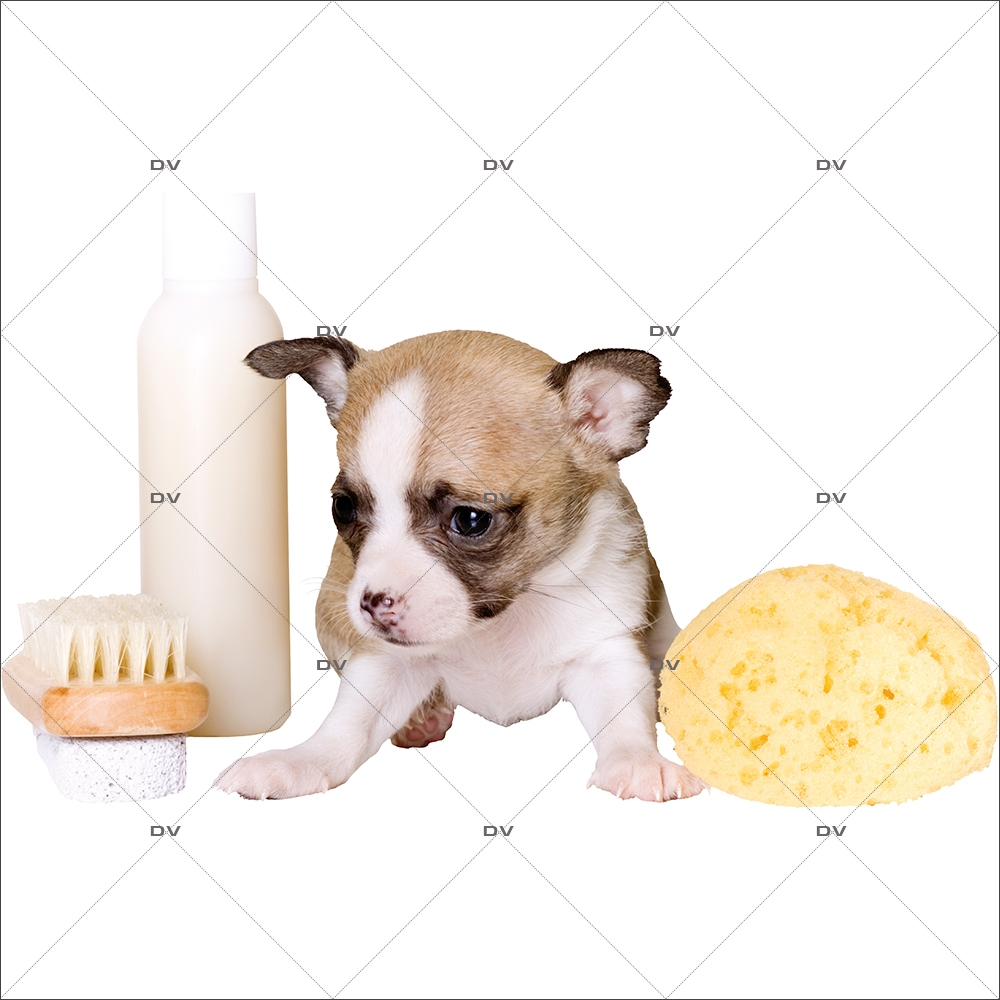 Sticker-chiot-et-accessoires-toilettage-chien-vitrophanie-décoration-vitrine-toiletteur-électrostatique-sans-colle-repositionnable-réutilisable-DECO-VITRES Sticker-chiot-et-accessoires-toilettage-chien-vitrophanie-décoration-vitrine-toiletteur-électrostatique-sans-colle-repositionnable-réutilisable-DECO-VITRES