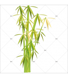 Sticker-bambous-asiatique-ambiance-zen-adhésif-encres-écologiques-latex-décoration-intérieure-DECO-VITRES