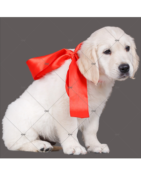 sticker-chiot-golden-retriever-noeud-cadeau-ruban-rouge-vitrine-noel-electrostatique-vitrophanie-sans-colle-DECO-VITRES-CC6