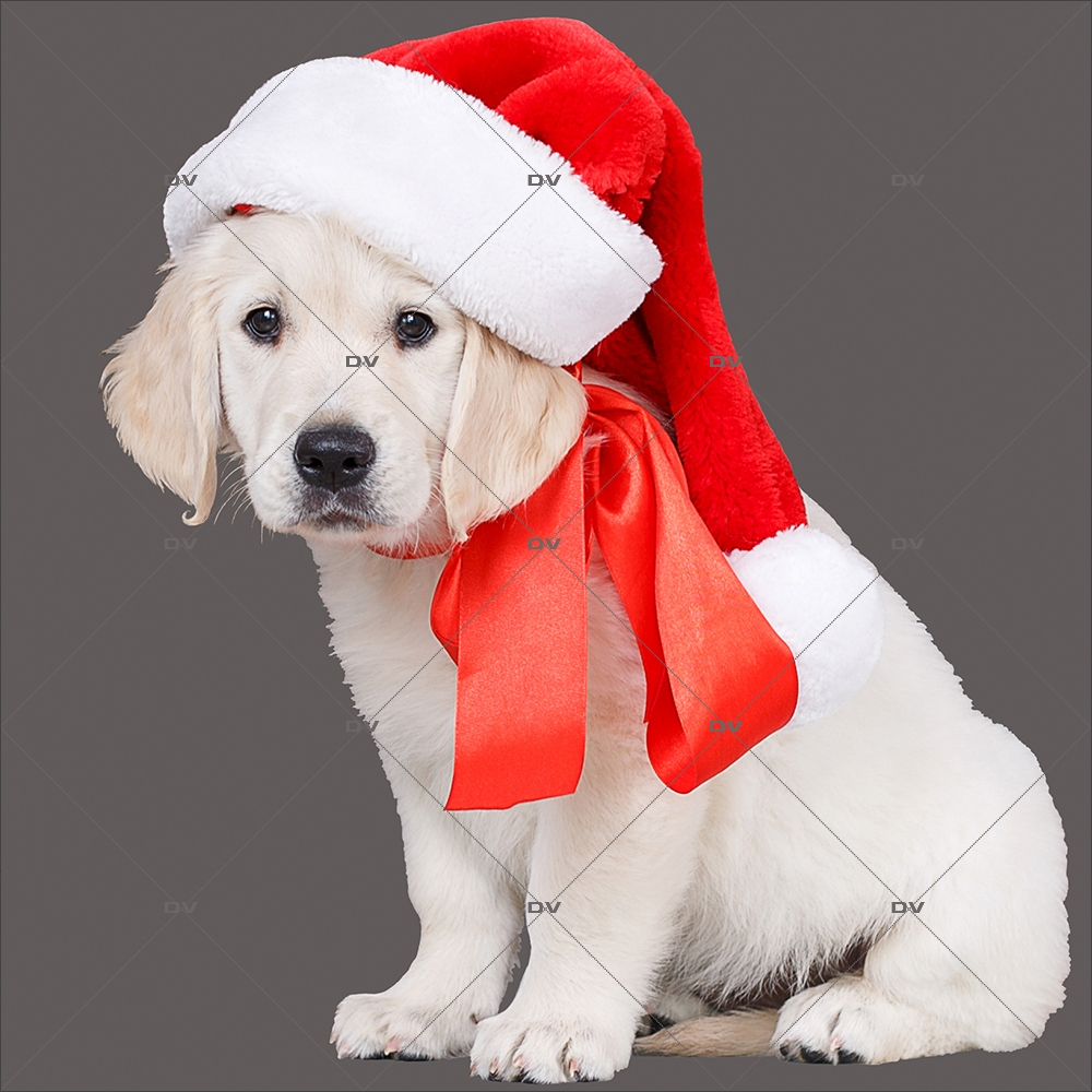 sticker-chiot-golden-retriever-noeud-ruban-rouge-bonnet-de-noel-vitrine-noel-electrostatique-vitrophanie-sans-colle-DECO-VITRES-CC7