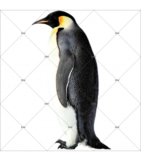 sticker-pingouin-adulte-noel-theme-polaire-arctique-nature-vitrine-noel-electrostatique-vitrophanie-sans-colle-DECO-VITRES-PG5D