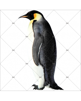 sticker-pingouin-adulte-noel-theme-polaire-arctique-nature-vitrine-noel-electrostatique-vitrophanie-sans-colle-DECO-VITRES-PG5D