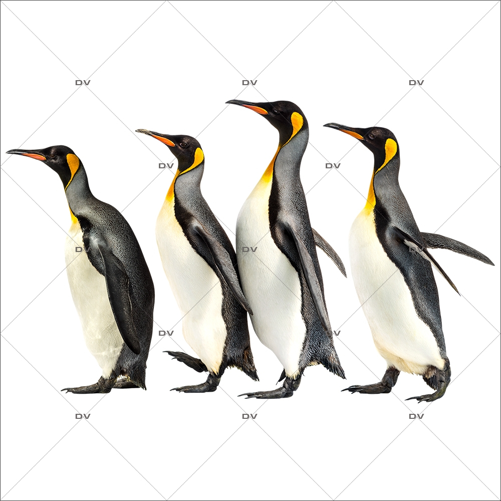 sticker-pingouins-file-arctique-polaire-vitrophanie-vitrine-noel-electrostatique-sans-colle-DECO-VITRES-PG7D