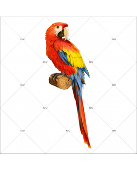 ARA3 - Sticker perroquet