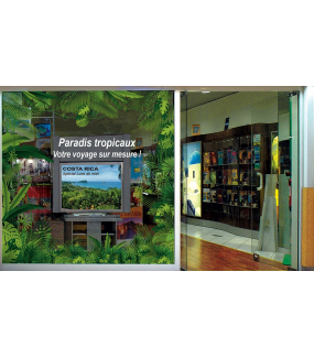 Sticker-angle-de-plantes-et-feuillages-exotiques-paysage-forêt-tropicale-été-vitrophanie-décoration-vitrine-estivale-électrostatique-sans-colle-repositionnable-réutilisable-DECO-VITRES