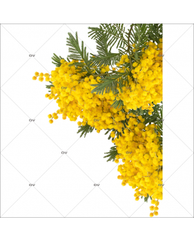 MIM2 - Sticker angle de branches de mimosa