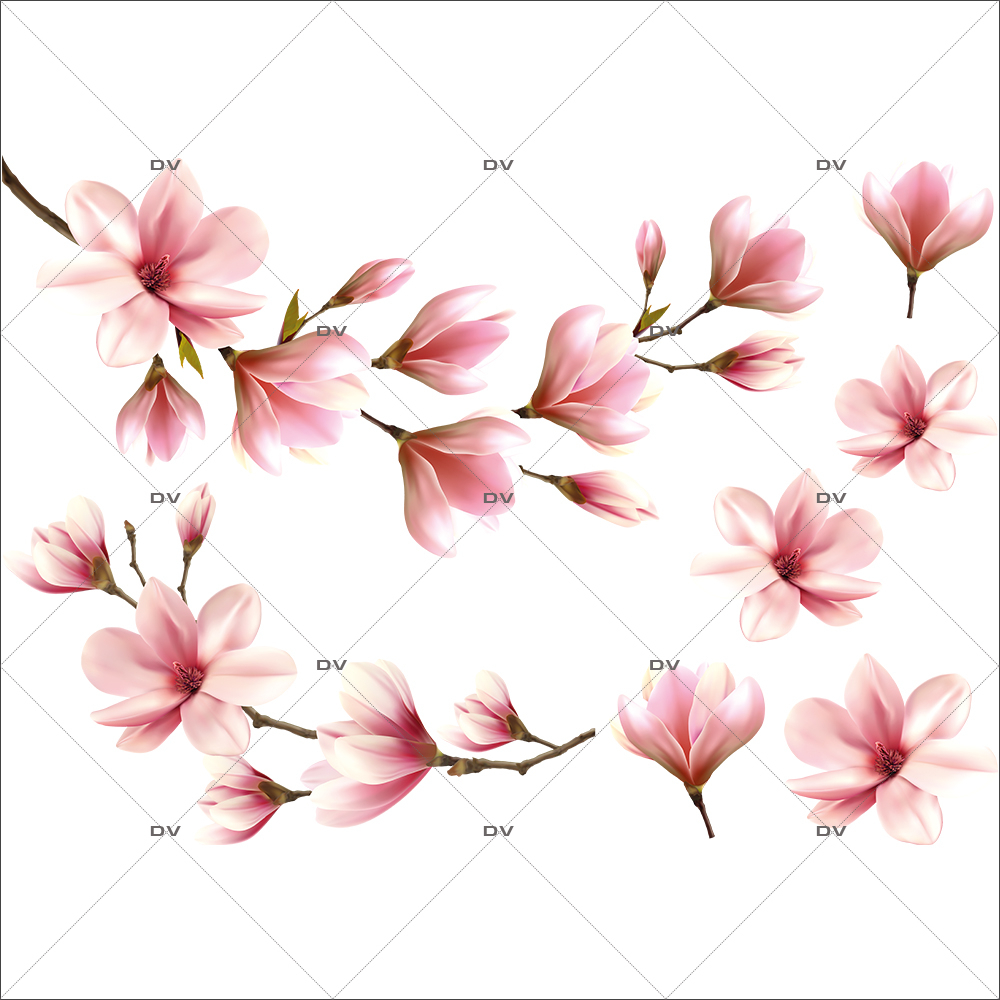 FLEURS49 - Sticker branches et fleurs de magnolias