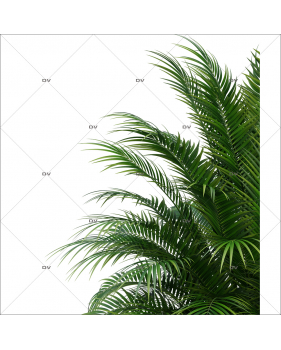 PALM9 - Sticker angle de feuille de palmier