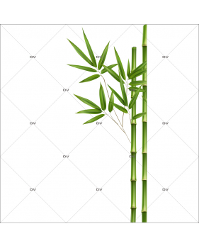 BAMB9 - Sticker angle de bambous