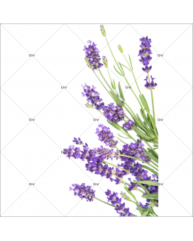 LV3 - Sticker angle de fleurs de lavande