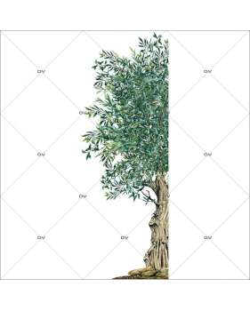 Sticker-demi-olivier-provence-arbre-olives-printemps-été-vitrophanie-décoration-vitrine-estivale-printanière-électrostatique-sans-colle-repositionnable-réutilisable-DECO-VITRES