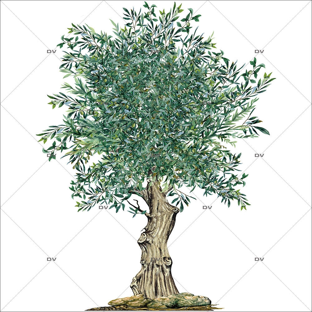 Sticker-olivier-provence-arbre-olives-printemps-été-vitrophanie-décoration-vitrine-estivale-printanière-électrostatique-sans-colle-repositionnable-réutilisable-DECO-VITRES