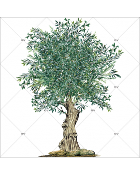 Sticker-olivier-provence-arbre-olives-printemps-été-vitrophanie-décoration-vitrine-estivale-printanière-électrostatique-sans-colle-repositionnable-réutilisable-DECO-VITRES