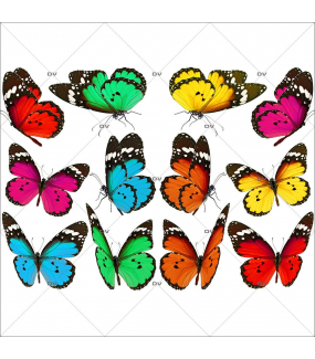 Sticker-papillons-multicolores-insectes-printemps-animaux-été-vitrophanie-décoration-vitrine-printanière-estivale-électrostatique-sans-colle-repositionnable-réutilisable-DECO-VITRES