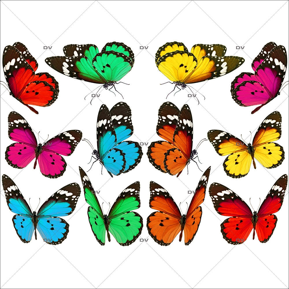 Sticker-papillons-multicolores-insectes-printemps-animaux-été-vitrophanie-décoration-vitrine-printanière-estivale-électrostatique-sans-colle-repositionnable-réutilisable-DECO-VITRES